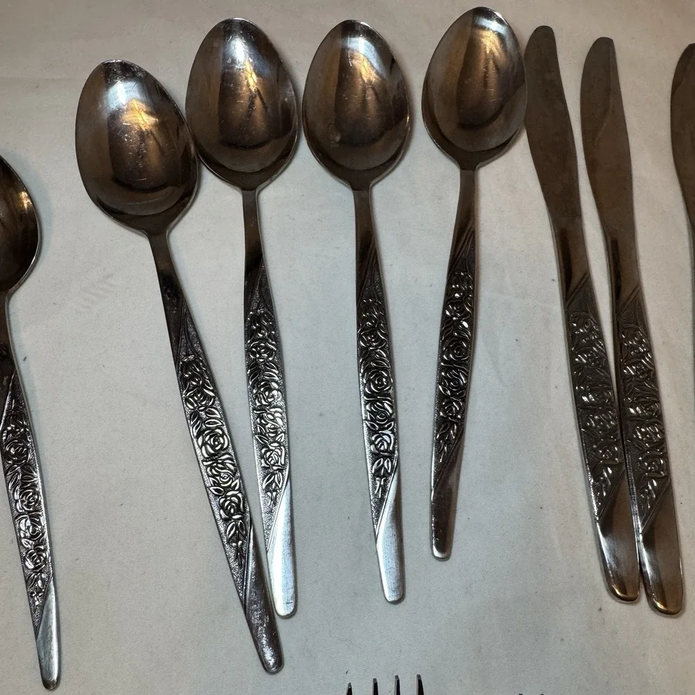 National CARESS Nasco ROSEVINE Floral Stainless Flatware Set‎ Of 18 **Read**